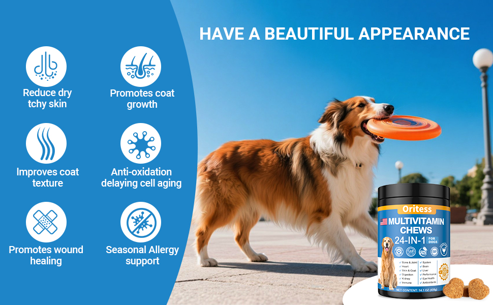 vitamins for dogs