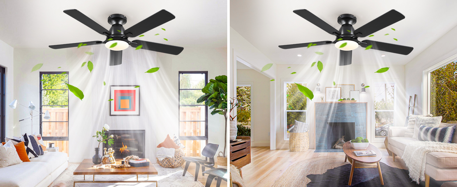  Ceiling Fans