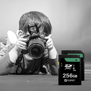 Amazon.com: Synergy Digital 256GB, SDXC UHS-I Memory Card