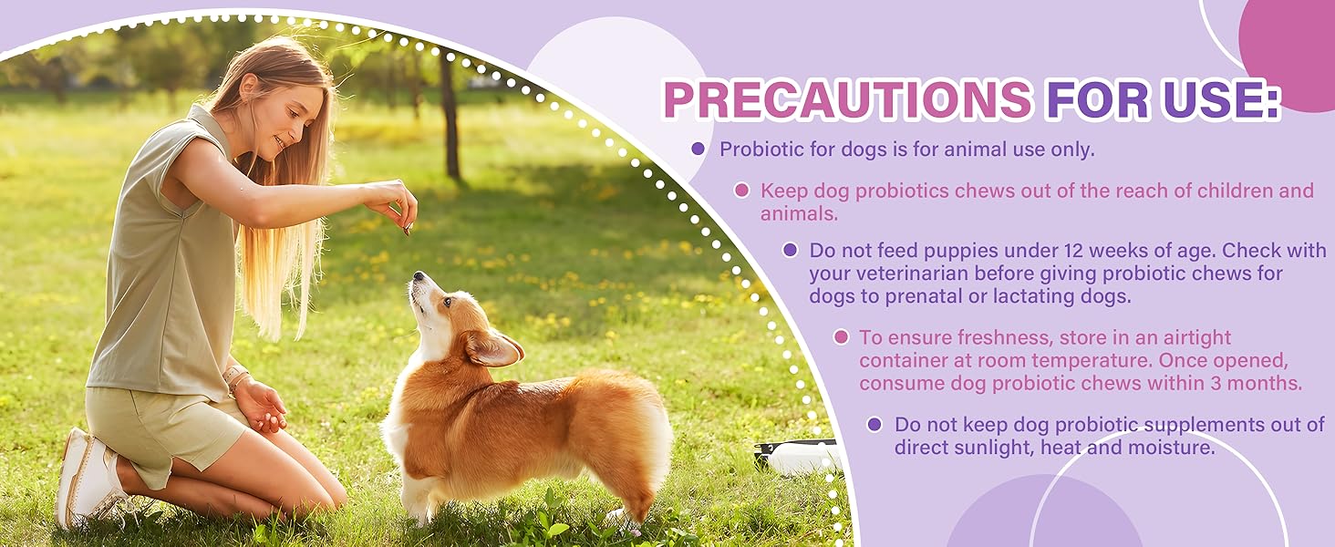 Probiotics for Dogs