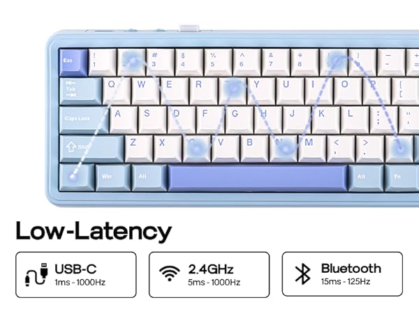Amazon.com: EPOMAKER HE65 MEC Wireless Mechanical Keyboard