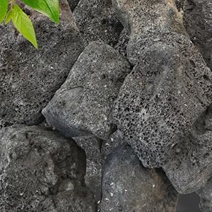 Amazon.co.jp: 溶岩石 黒 岩 溶岩 石 庭石 ロックガーデン
