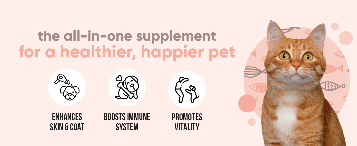 Salmon Oil