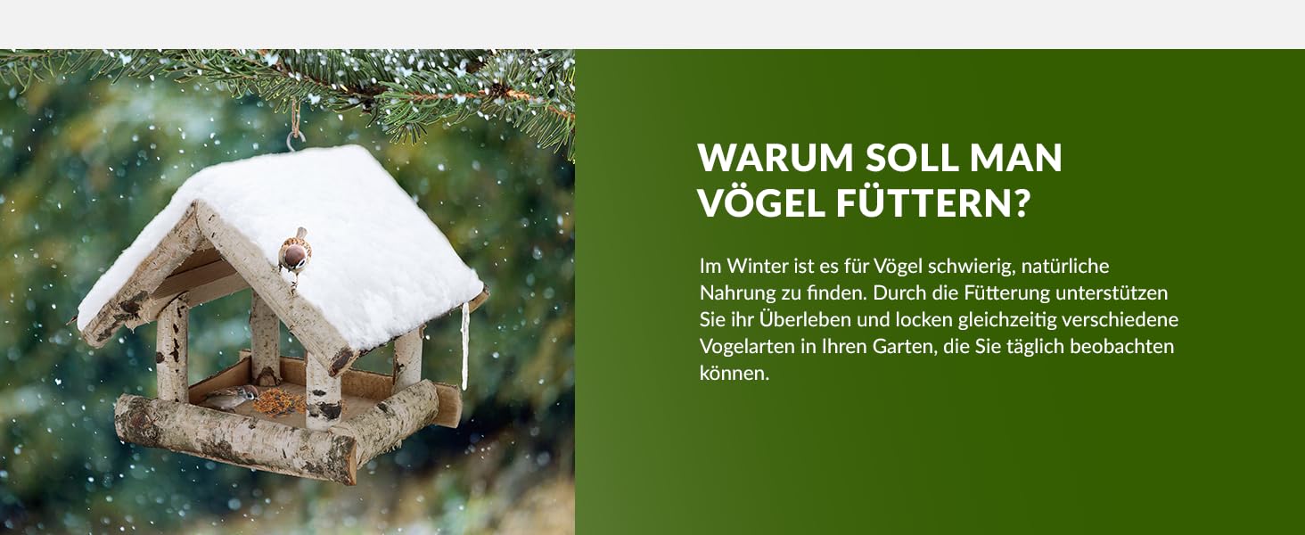 Der Text lautet „WARUM SOLL MAN VÖGEL FÜTTERN?“ Grüne Naturszene mit Informationen zur Vogelfütterung in deutscher Sprache auf Informationstafeln.