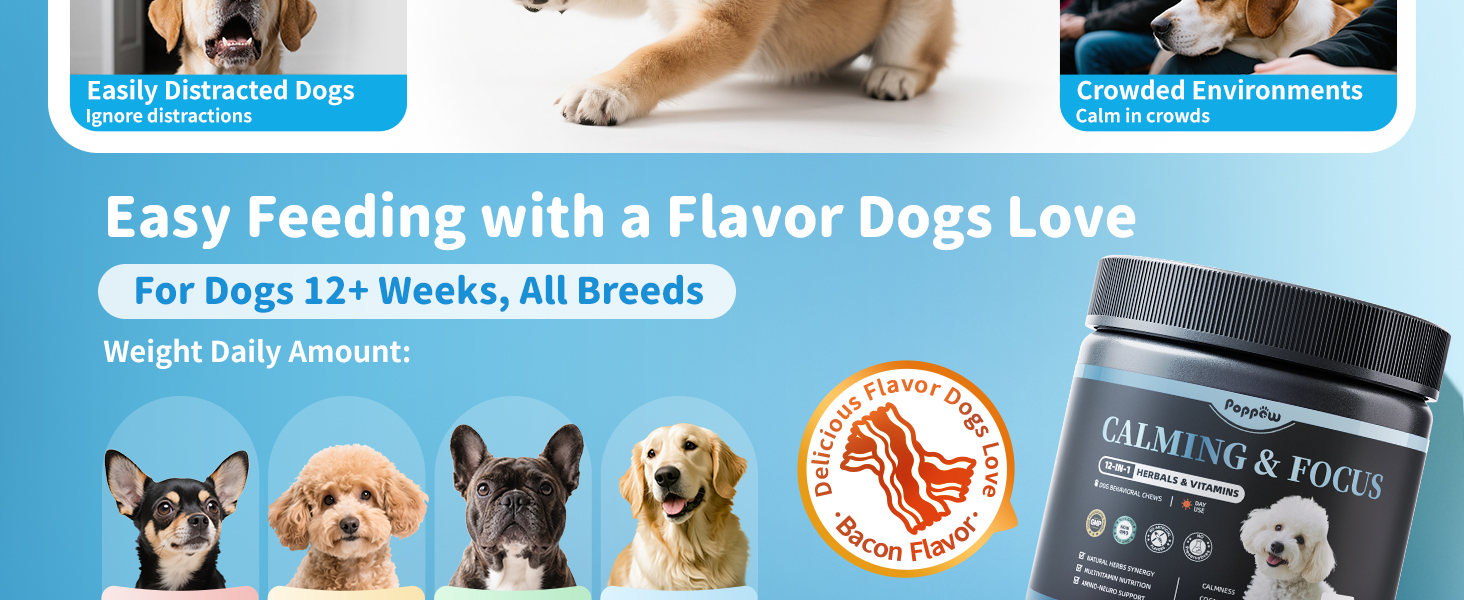 calming chews for dogs