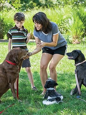 Puppy Training to Advanced Techniques