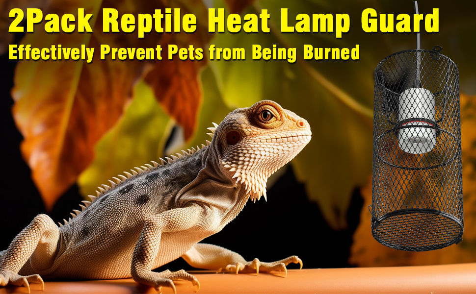 Reptile Heat Lamp Guard