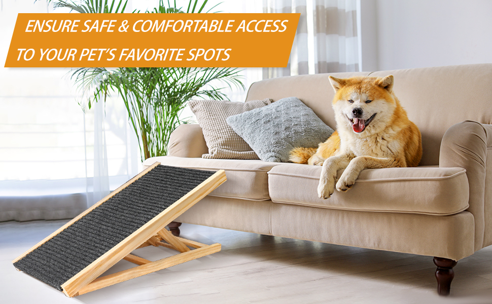 small dog ramp