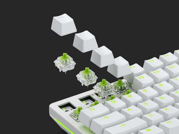 gmmk pro raptor switches