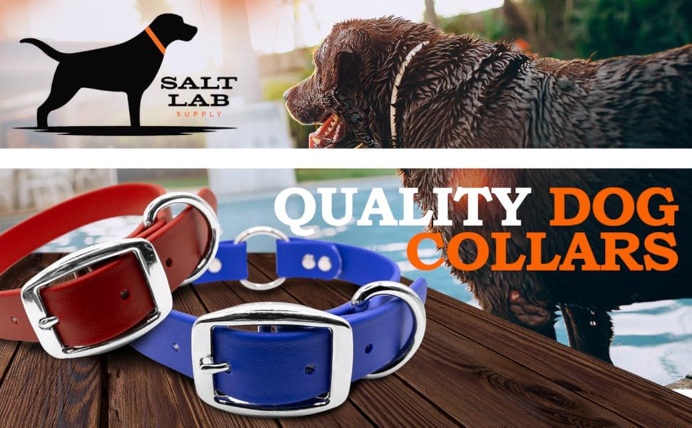 Salt Lab Supply Waterproof Dog Collars Heavy Duty