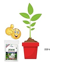 Small manufacture image 5