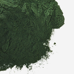 chlorella