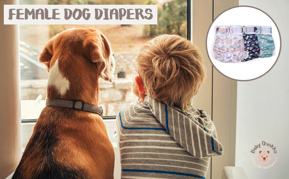 Dog Diaper Handmade Adjustable, Reusable, SnapOn Cloth