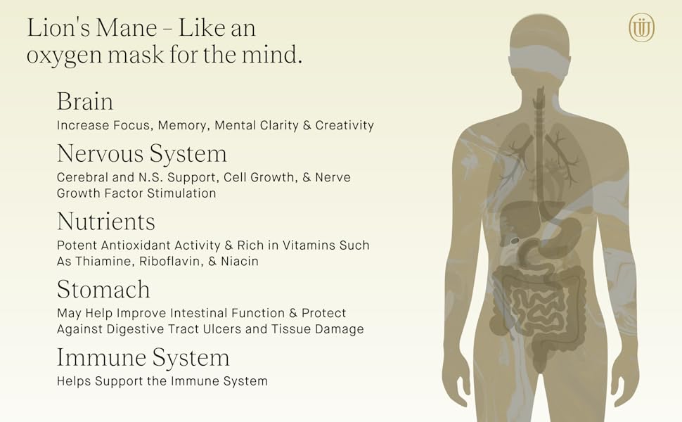 lion's mane mushroom tincture, lion's mane mushroom, mushroom supplements, lions mane supplement