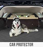 car truck cover dog blanket protection