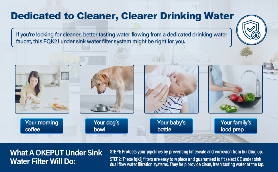 FQK2J Under Sink Filter, Replacement for Dual Flow Drinking