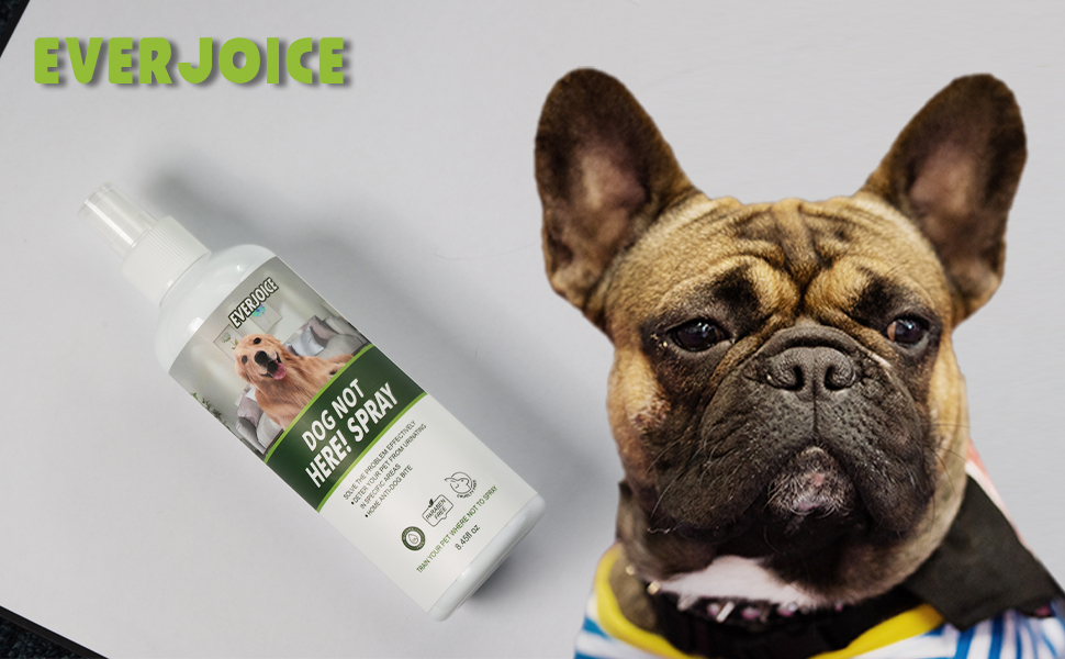 EverJoice Dog Not Here Spray, Behavior Corrector, Training