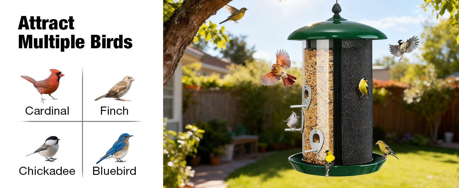 hanging bird feeder