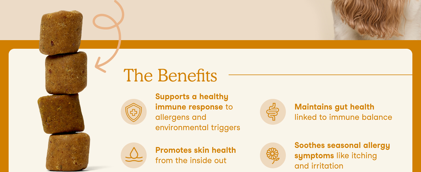 Fera Pet Allergy Immune Soft Chews