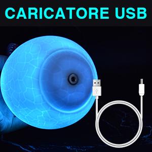 CARICATORE USB