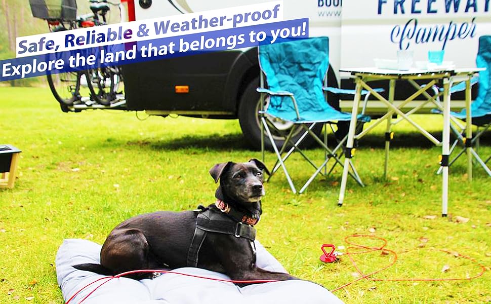 25 ft Dog Tie Out Cable and Stake Dog Yard Leash and