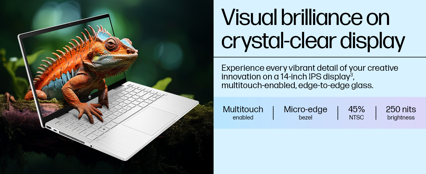 14 inch IPS display