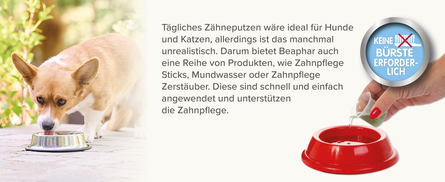 Beaphar Zahnpflege