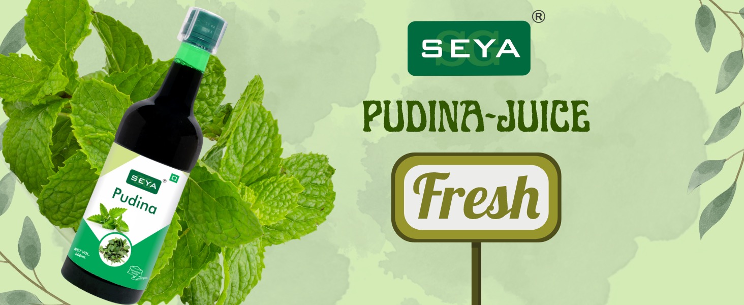 pudina juice