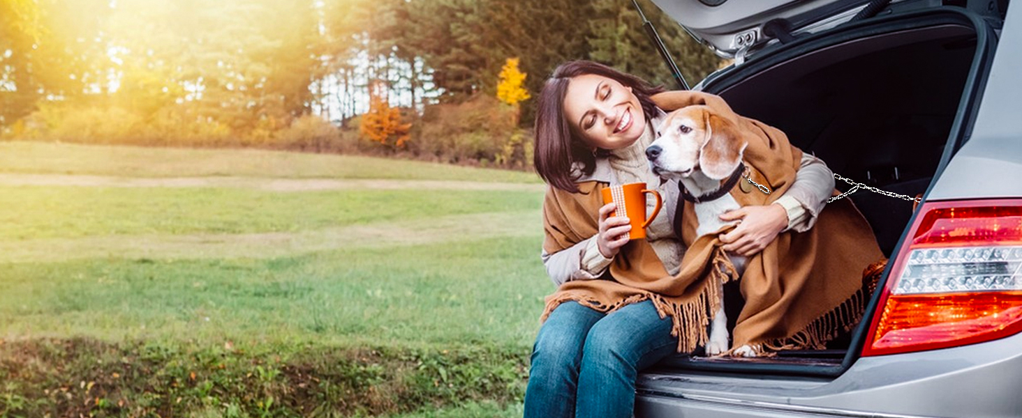 dog truck bed tether