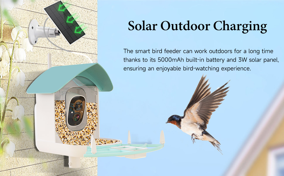 bird feeder camera