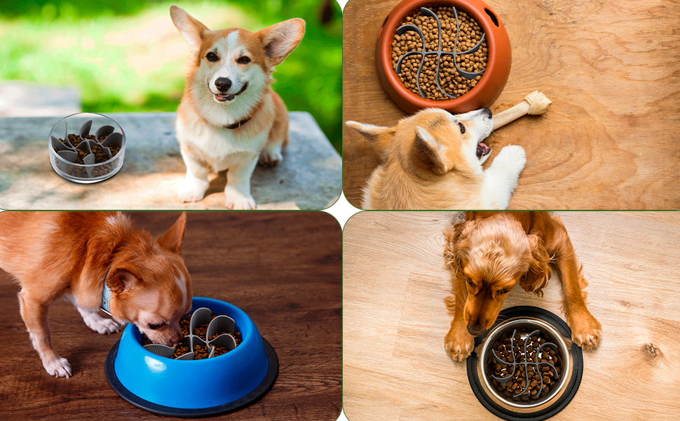 PETTOM Slow Feeder Insert for Dog Bowls, Slow Feeder Dog Bowls, Slow Eating Bowl Insert Silicone PETTOM Slow Feeder Insert for Dog Bowls, Slow Feeder Dog Bowls, Slow Eating Bowl Insert Silicone
