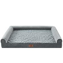 dog bed