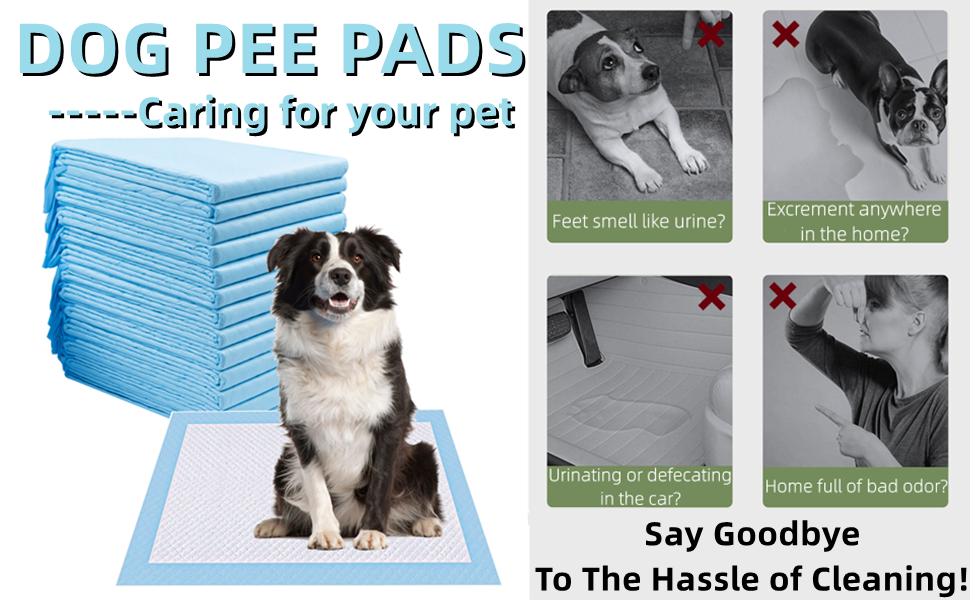 100 Pieces Puppy Pee Pads 18" x 13", Super Absorbent Disposable Dogs