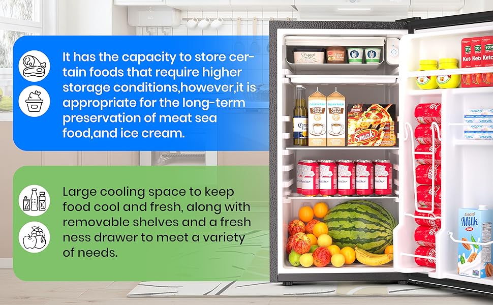 Mini Fridge with Freezer