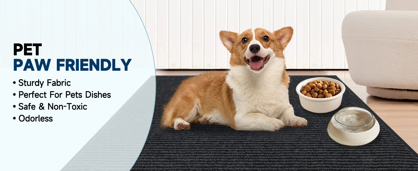 PET PAW FRIENDLY