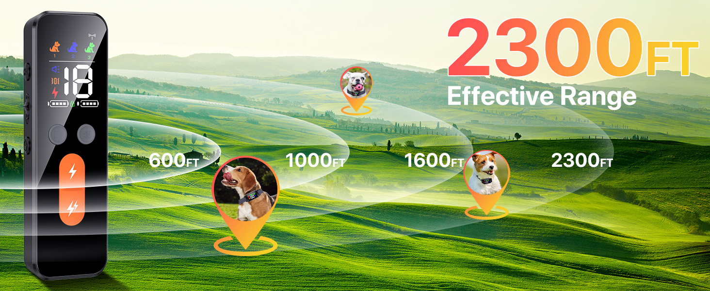 Dog training collar with remote