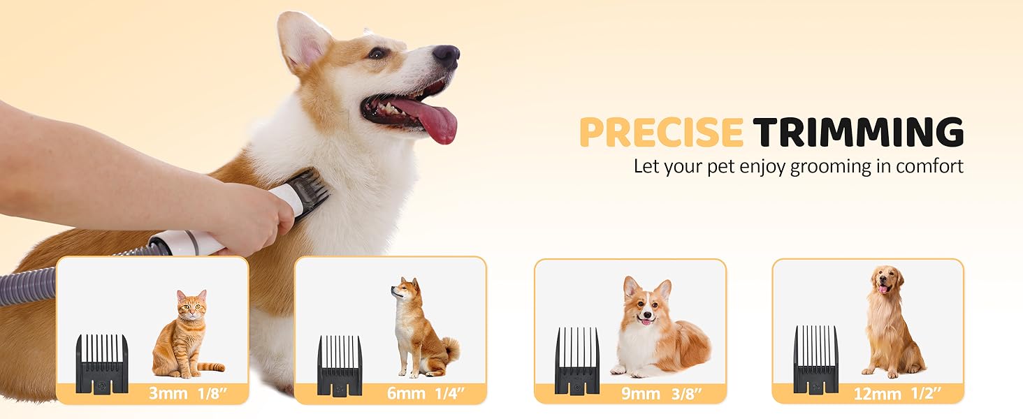 dog grooming kit