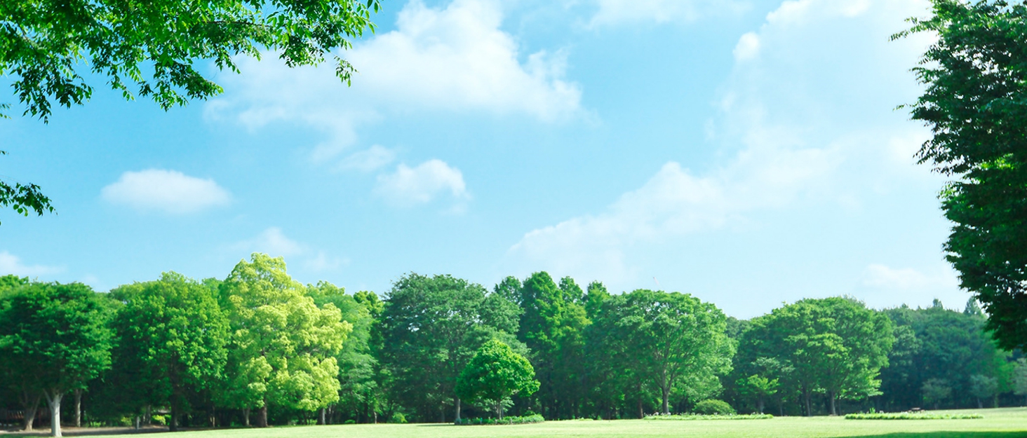 Bird Scarers Bird Repellent for Garden, Bird Repellent Pigeon Deterrent