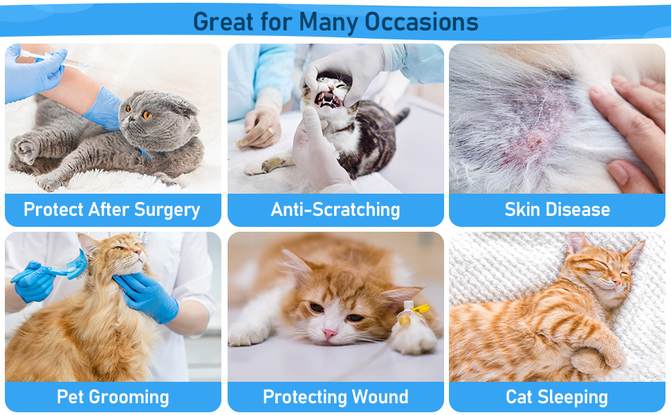 Cat Cone Collar Soft Cone for Cats Cat Recovery Collar, Adjustable Pet Cone Cat