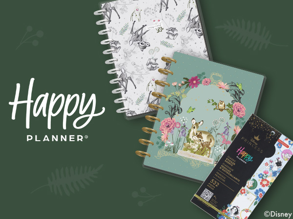 Amazon.com : Happy Planner Disney Disc-Bound Mid-Year 12