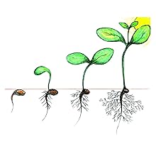 Dicots