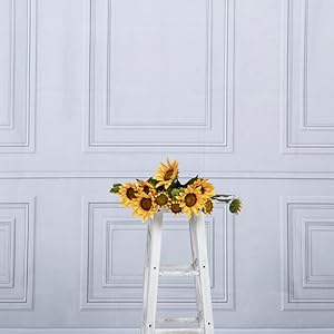 Photography Backdrops