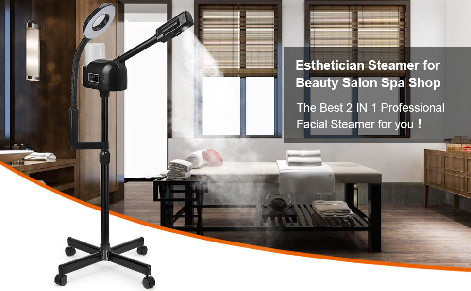 2 in 1 Facial Steamer