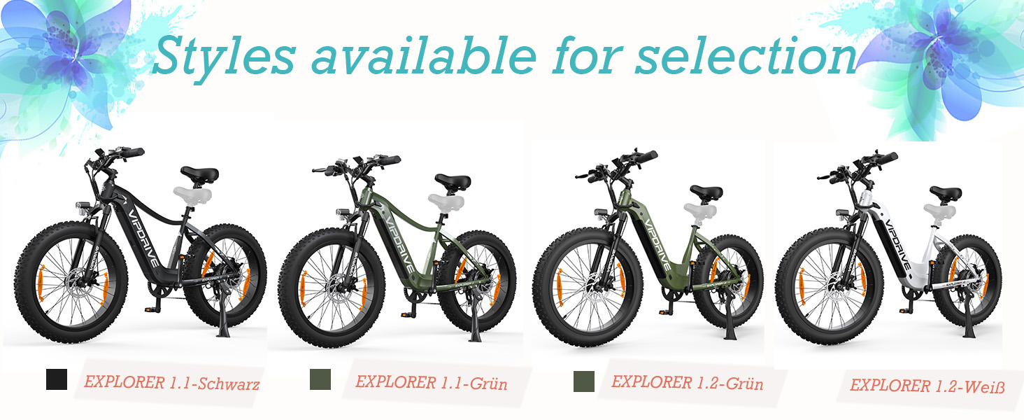 electric bicycle