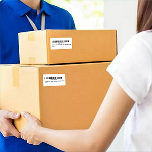 Question 2: Why does the printer status on my computer show Offline or Error or not?