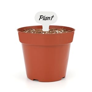 small plastic seedling pots with drainage holes