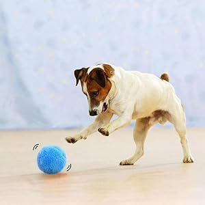 pelota interactiva perros
