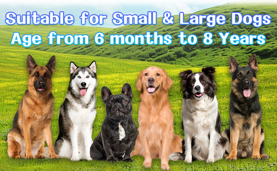 Safe & Humane Bark Control for All Dog Sizes
