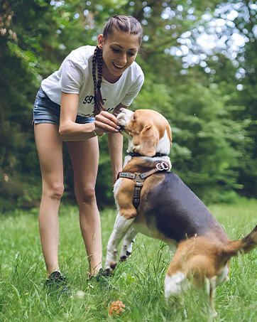 back seat pet cover for dogs