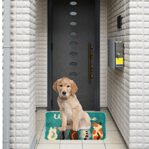 DIY Crochet Yarn Kits Color Preprinted Pattern Canvas